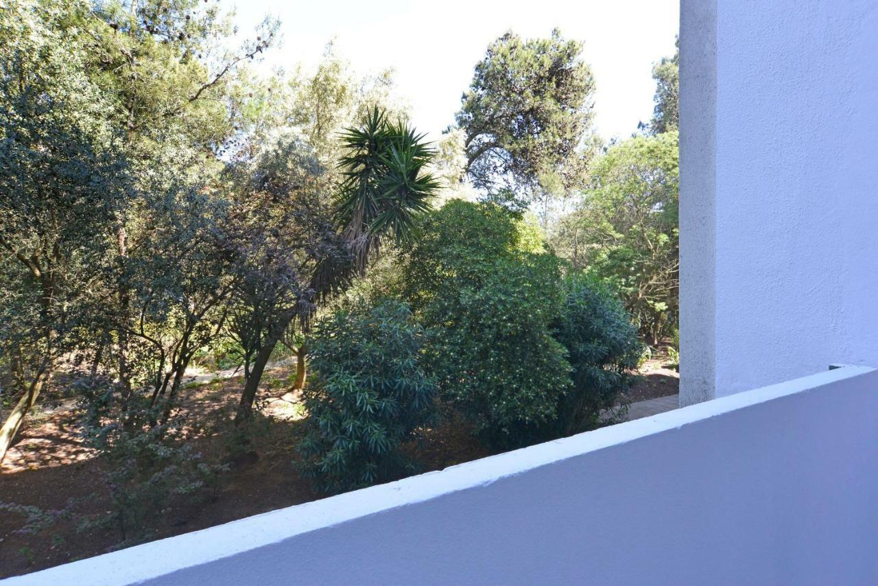 Tropical View Cascais - Checkinhome Kültér fotó
